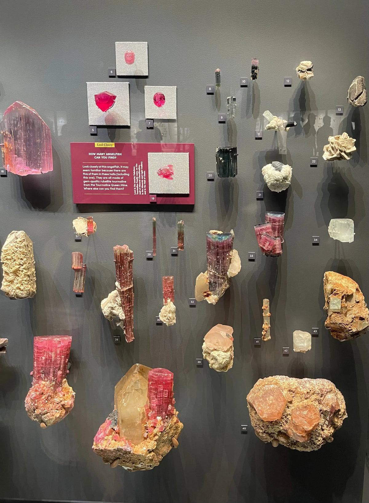 BAMBI Tourmaline Hematite Earrings Raw Crystal Magical Healing