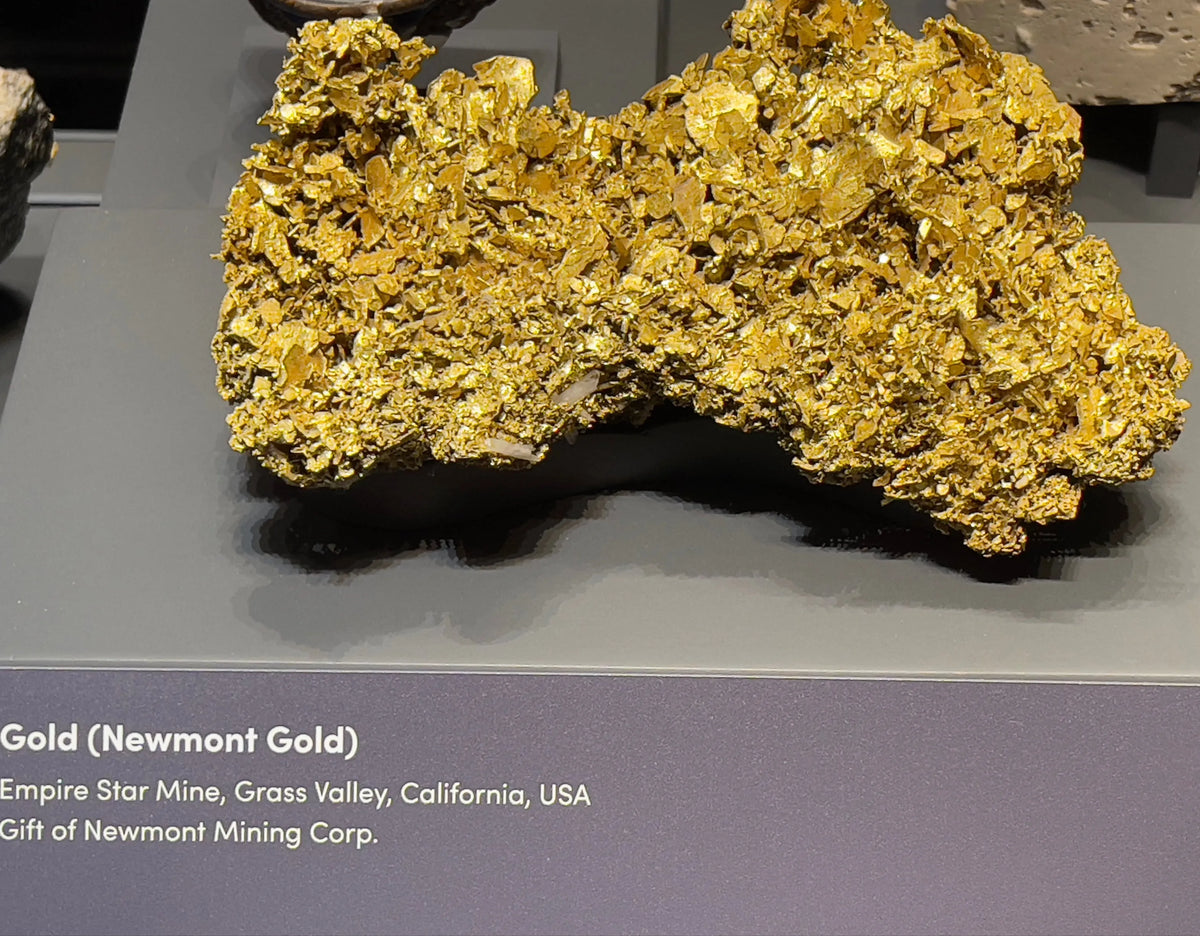 HAVEN Earring Set 24K Gold Leaf Sea Shell Black Pearl Quartz Crystal