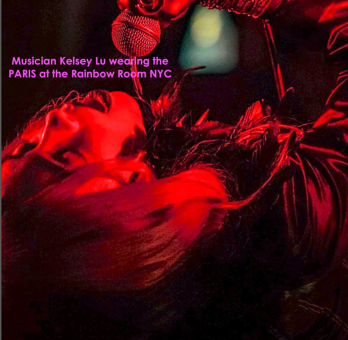 PARIS Feather Collar Shoulder Warmer Crown Necklace Multi-Functioning