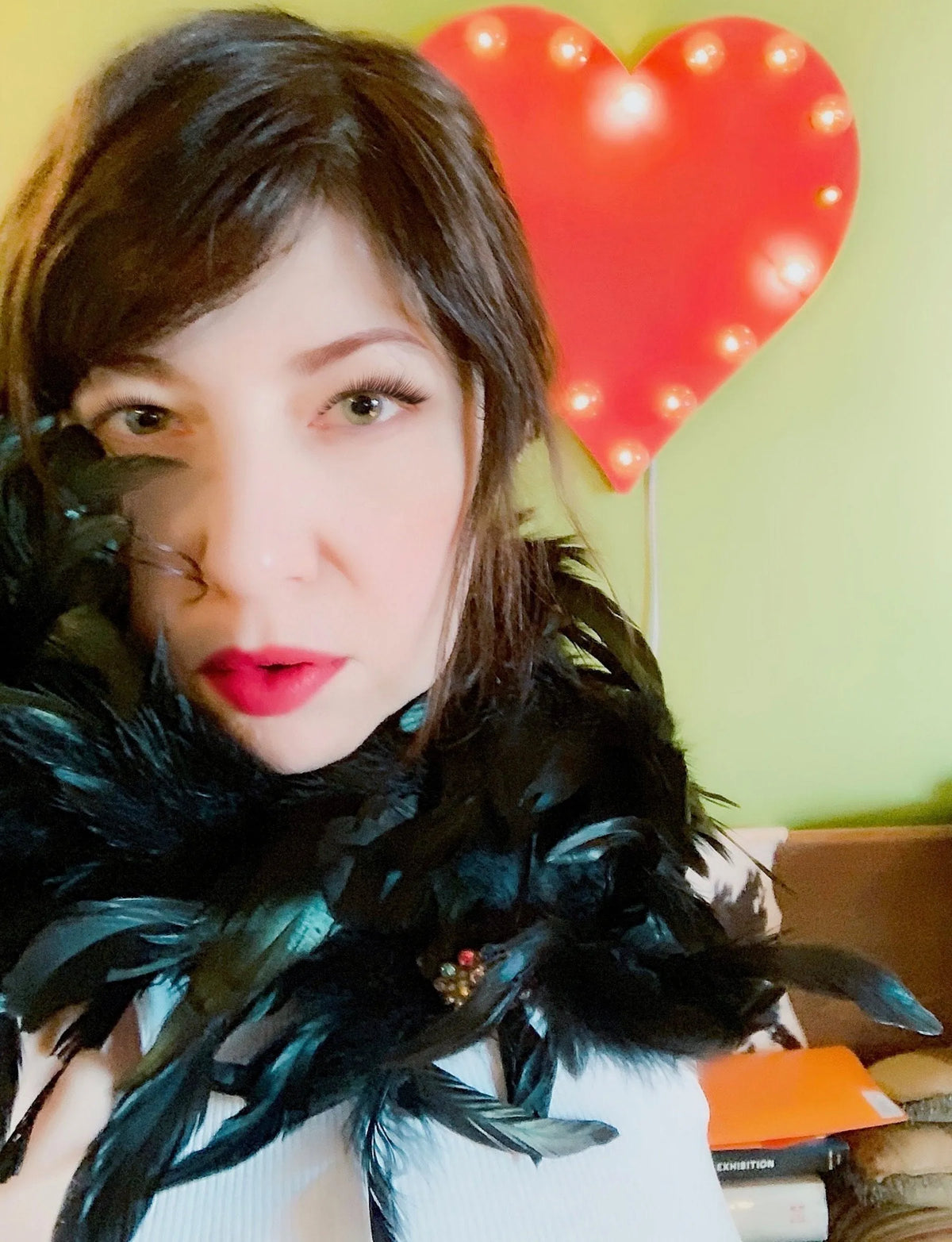 PARIS Feather Collar Shoulder Warmer Crown Necklace Multi-Functioning