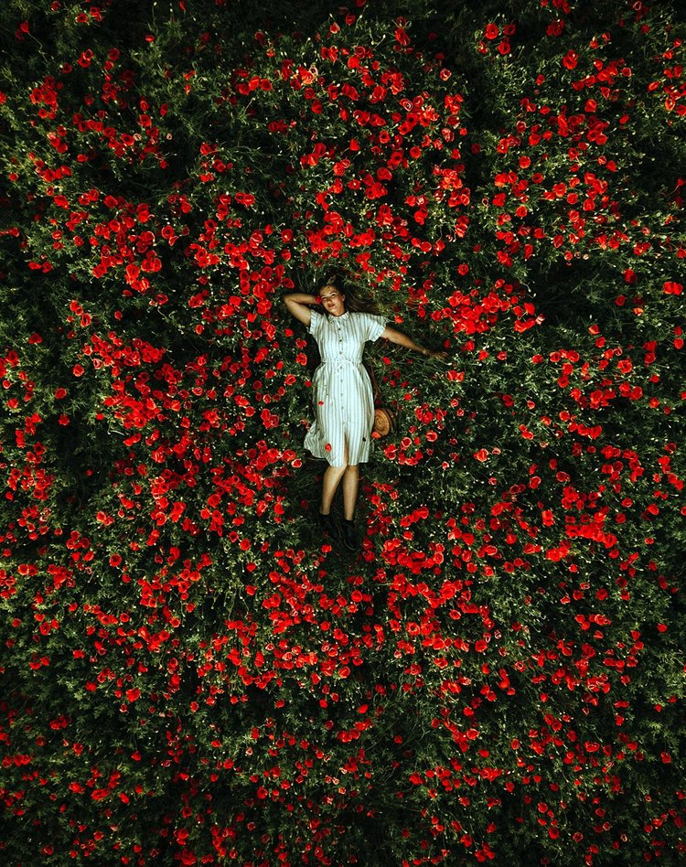 Woman in a white dress lying in a dense field of red flowers, viewed from above.
