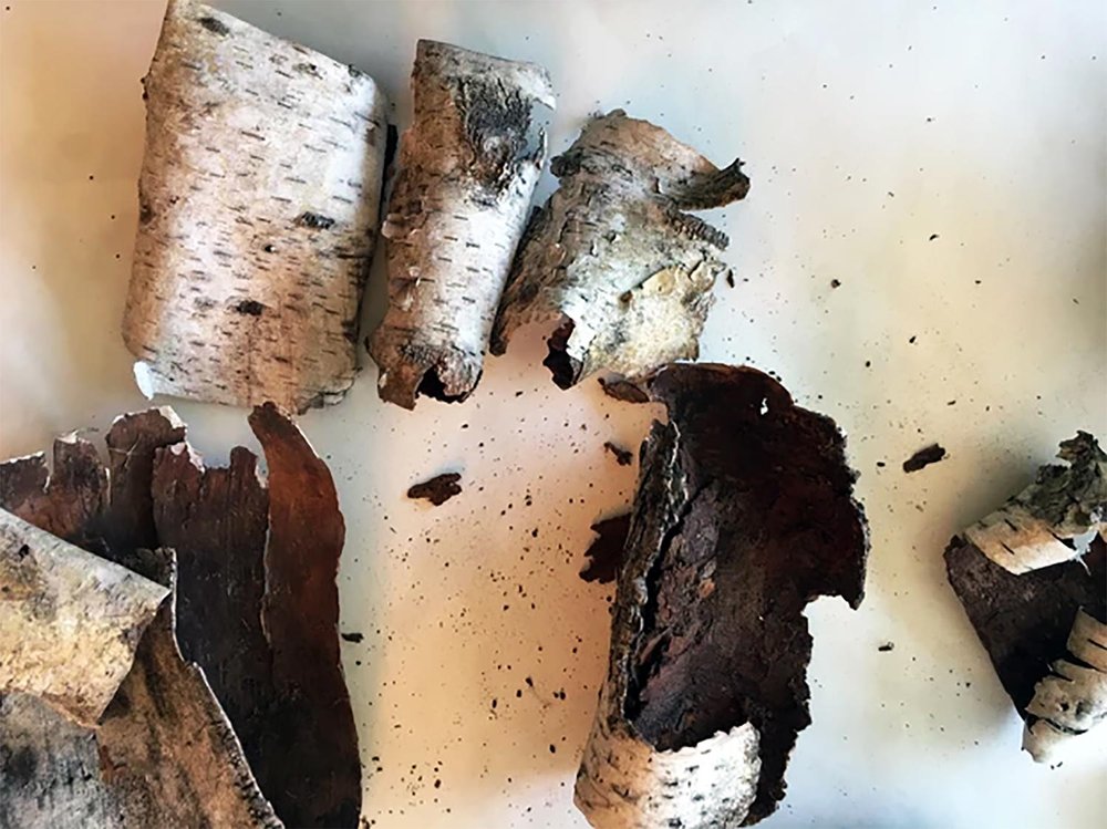 Scattered pieces of birch bark in various shades of white, gray, and deep brown on a light background.